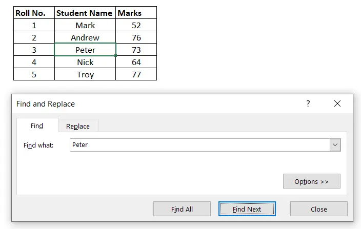 Excel Shortcut Find Previous Match